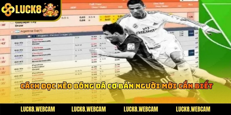 Các loại hình cá cược bóng đá phổ biến nhất dành cho người mới bắt đầu