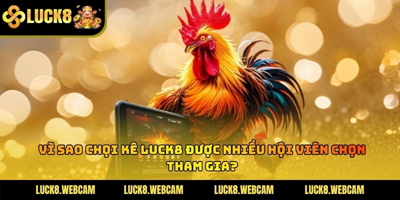 Lý do người chơi yêu thích chọi kê online tại nhà cái uy tín hiện nay