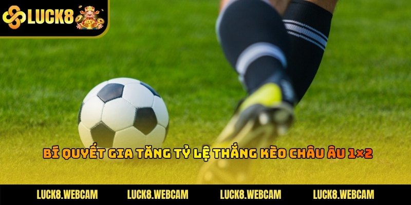 Chiến thuật thông minh giúp người chơi làm chủ bảng tỷ lệ cược trực tuyến